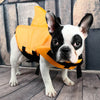 Dog Life Vest Summer Shark Pet Life Jacket - Verzatil 