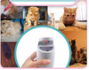Led Smart Laser Cat Toy Usb Charging - Verzatil 